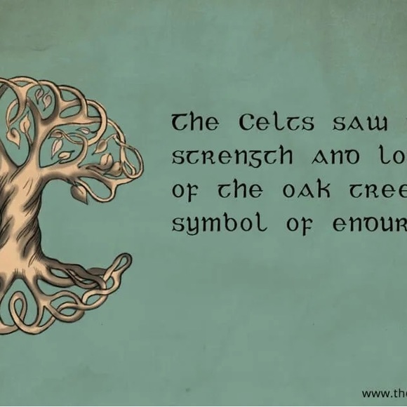 Tree of life Celtic ring “Crann Bethadh” size 7 silver .925 - Picture 3 of 7